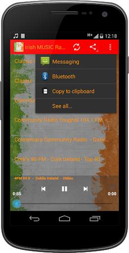 Irish Ireland MUSIC Radio screenshot 3
