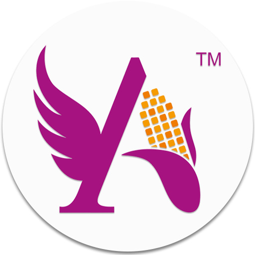 Angel Recipe App icon