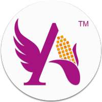 Angel Recipe App