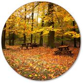 Fall Wallpaper icon