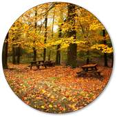 Fall Wallpaper 3.0