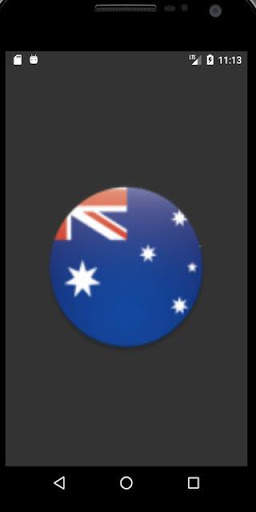 New Zealand Cricket screenshot 1
