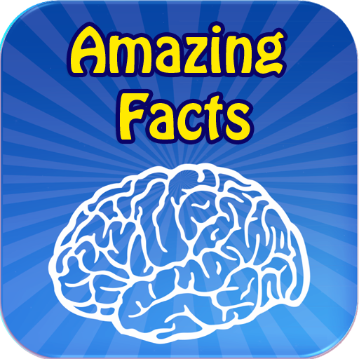 ikon Amazing Facts    