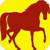 Horse Games Free