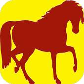 Horse Games Free 1.3
