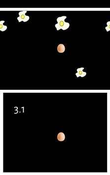 World Record Egg screenshot 1