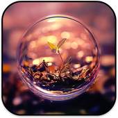 Nature Wallpapers 4.0