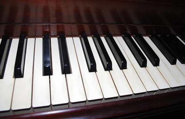Organ Keyboard 2019 screenshot 1