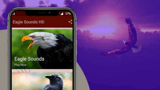 Eagle Sounds - Eagle Sound Ringtone screenshot 1