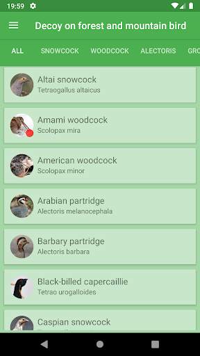 Decoy on forest bird screenshot 1