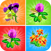 Flower memory games icon