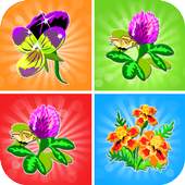 Flower memory games 1.0