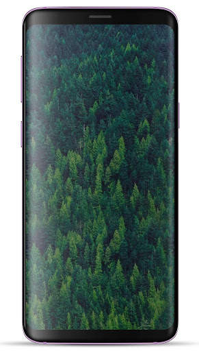 Forest Wallpaper HD screenshot 15