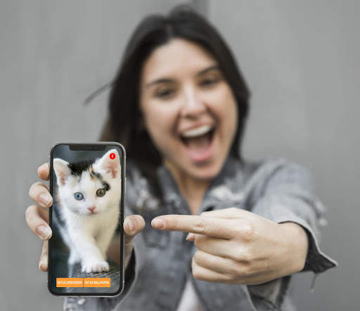 Cute Cats Wallpaper screenshot 1