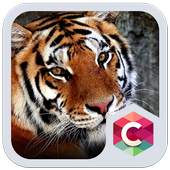 Best Animal Tiger Theme 4.8.7