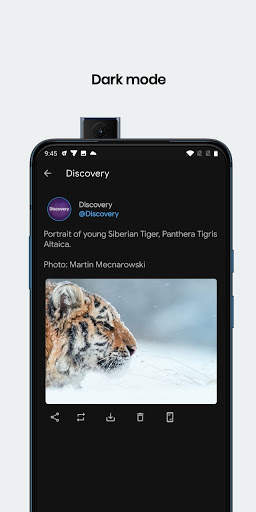 Download Twitter Videos | GIF - Screenshot Tweet screenshot 4