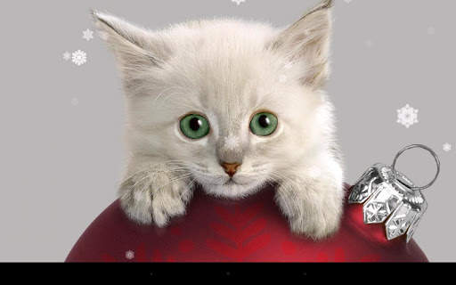Xmas Cat Live Wallpaper screenshot 5