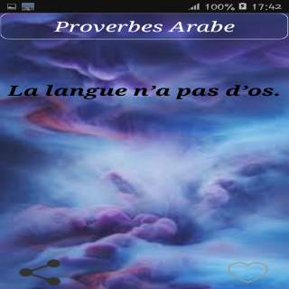 Proverbes Arabe screenshot 5