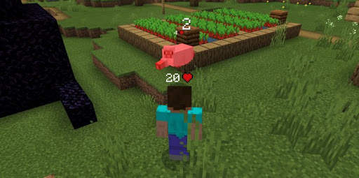 Damage Indicator Health Mod Minecraft screenshot 1