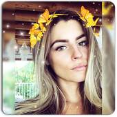 butterfly crown filters 1.0.0
