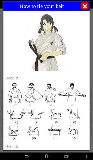 Karate in brief screenshot 12