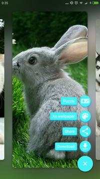 Pet World screenshot 3