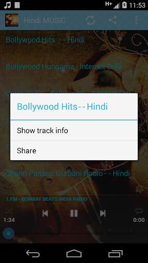 Hindi MUSIC screenshot 3