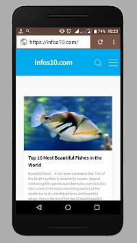 FS Browser - A simple web browser screenshot 3