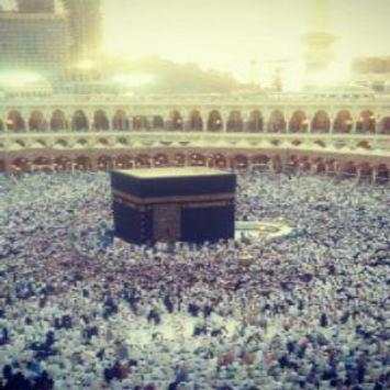 Al-haramain Gallery screenshot 2