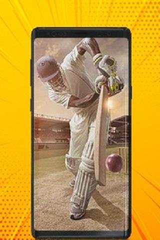 Live Cricket Scores - Ball By Ball Live Cricket screenshot 2