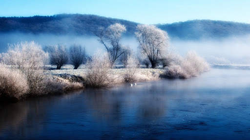 Nature Live Wallpaper : 7fon & LWP screenshot 12