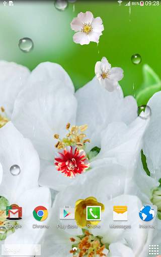 Blooming Trees Live Wallpaper screenshot 8