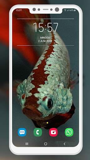 Betta Fish Wallpaper screenshot 11