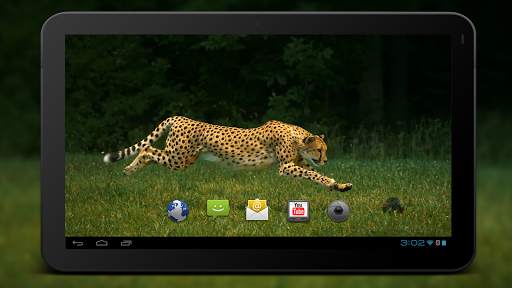 4K Cheetah Sprint Live Wallpaper screenshot 5
