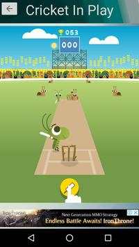 Cricket In-Play Pro ( FlashCard , Game ) screenshot 3