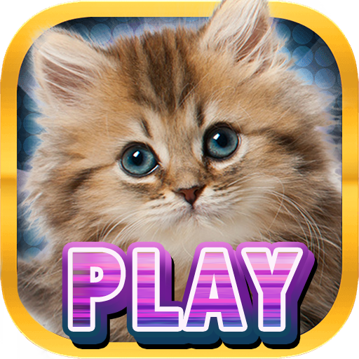 Casino Kitty Free Slot Machine icon