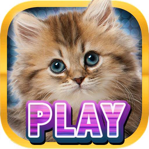 Casino Kitty Free Slot Machine 1.2.0