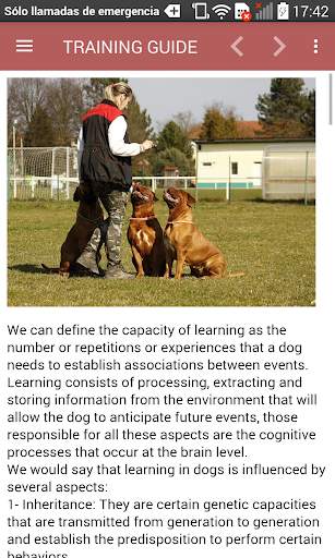 Dog Training Guide Offline screenshot 6