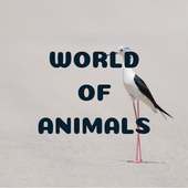 World of Animals logo