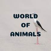 World of Animals 2.0