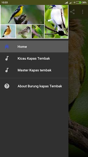 Suara Burung Kapas Tembak Gacor screenshot 1