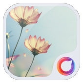 Morning Twilight Wallpaper icon