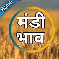 mandi bhav icon