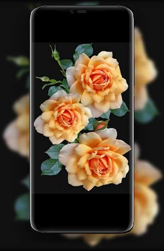 World Of Beautiful Flowers screenshot 3