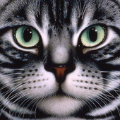 FIND THE CAT 2 (НАЙДИ КОТА 2) icon
