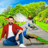 Peacock Photo Editor - CB Photo Frames Banane Wala
