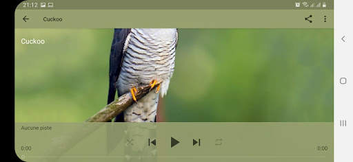Bird Sounds screenshot 9