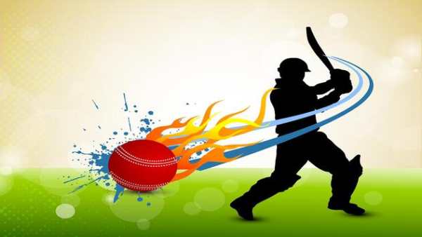 Support Cricket Team screenshot 1