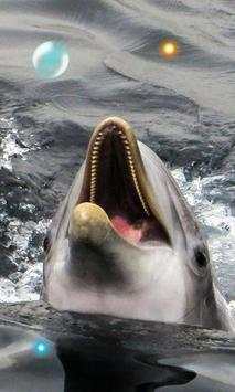 Dolphins Sound live wallpaper screenshot 1
