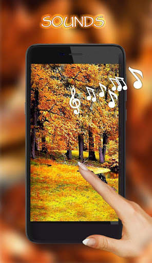 Autumn Rain live wallpaper screenshot 1